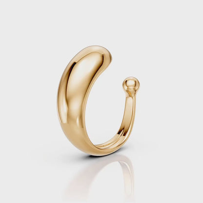 Ear Hook Curvas